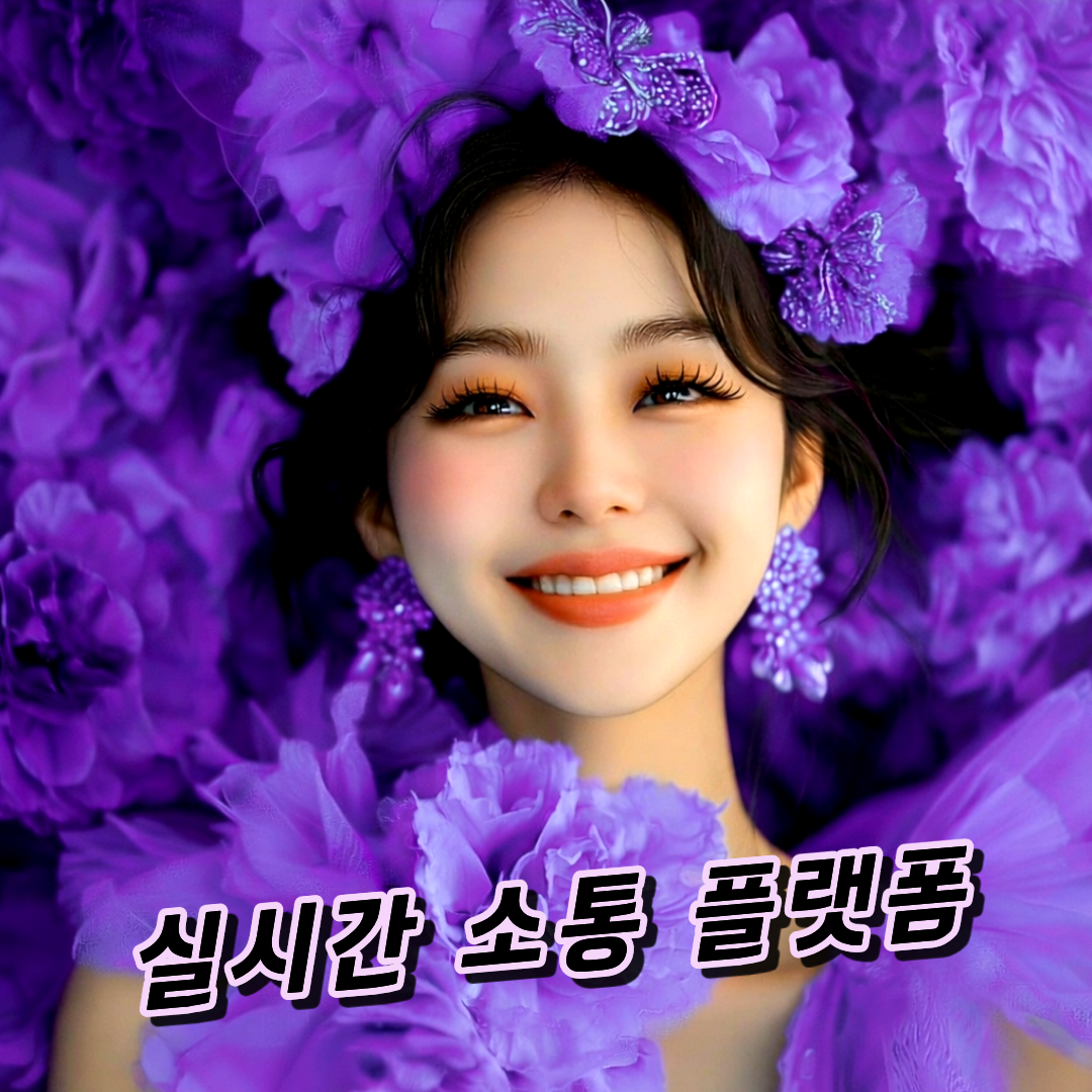 영상통화기반 소셜 플랫폼 확장을 위한 투자자 모집